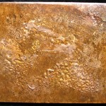 gal16